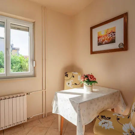 Apartment Komfortables Wenige Minuten Zur Altstadt Von Und Zum Mit Garten
